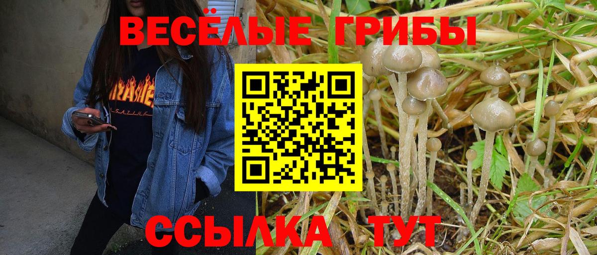 Псилоцибиновые грибы Cubensis  Галлюциногенные грибы Cubensis  Юрга  Вход с VPN 